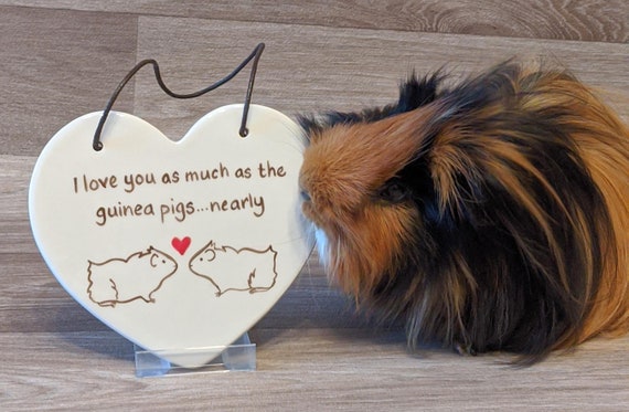 Guinea Pig Hanging Ceramic Heart I love you as much as the | Etsy