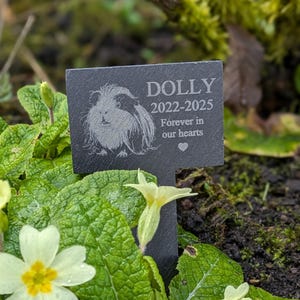 Personalised Long Haired Guinea Pig Slate Memorial Spike, pet memorial, pet headstone, engraved pet memorial, memorial plaque