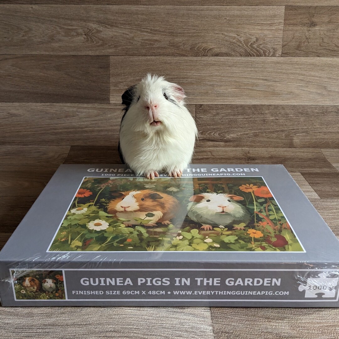 Guinea Pig Jigsaw Puzzle 1000 Piece 'guinea Pigs in the Garden' gifts