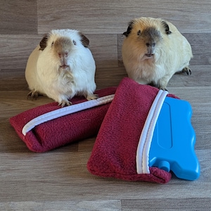 Guinea Pig Ice Pack Cool Block (Burgundy) Guinea Pig Accessories Cool Pad Guinea Pig Grooming Treats