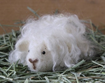 Needle Felted Guinea Pig Craft Kit [Penelope White Texel]