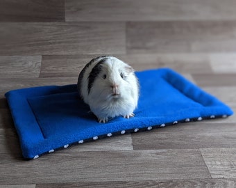 Puede incluir: Un conejillo de indias blanco y negro se sienta en una cama para mascotas azul y blanca con lunares. La cama está hecha de vellón suave y tiene un borde elevado.