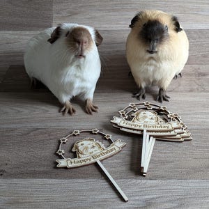 May include: Two guinea pigs, one white with brown markings and one brown with black markings, are looking at the camera.  There are several wooden cake toppers with the text "Happy Birthday" on them.