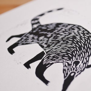 coati original linocut image 5