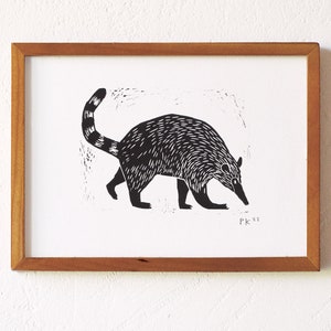 coati original linocut image 1