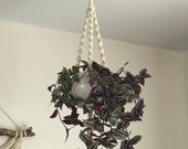 Modern macrame plant hanger for indoor garden