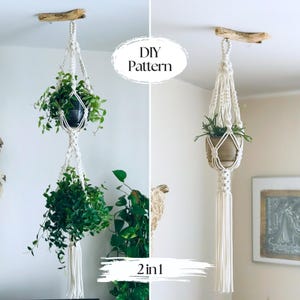 Könnte beinhalten: Zwei Makramee-Pflanzenaufhänger mit Grünpflanzen, die an einem Holzast aufgehängt sind. Die Aufhänger sind weiß und haben ein gewebtes Design, das Topfpflanzen hält. Der Text "DIY Pattern" und "2in1" ist enthalten.