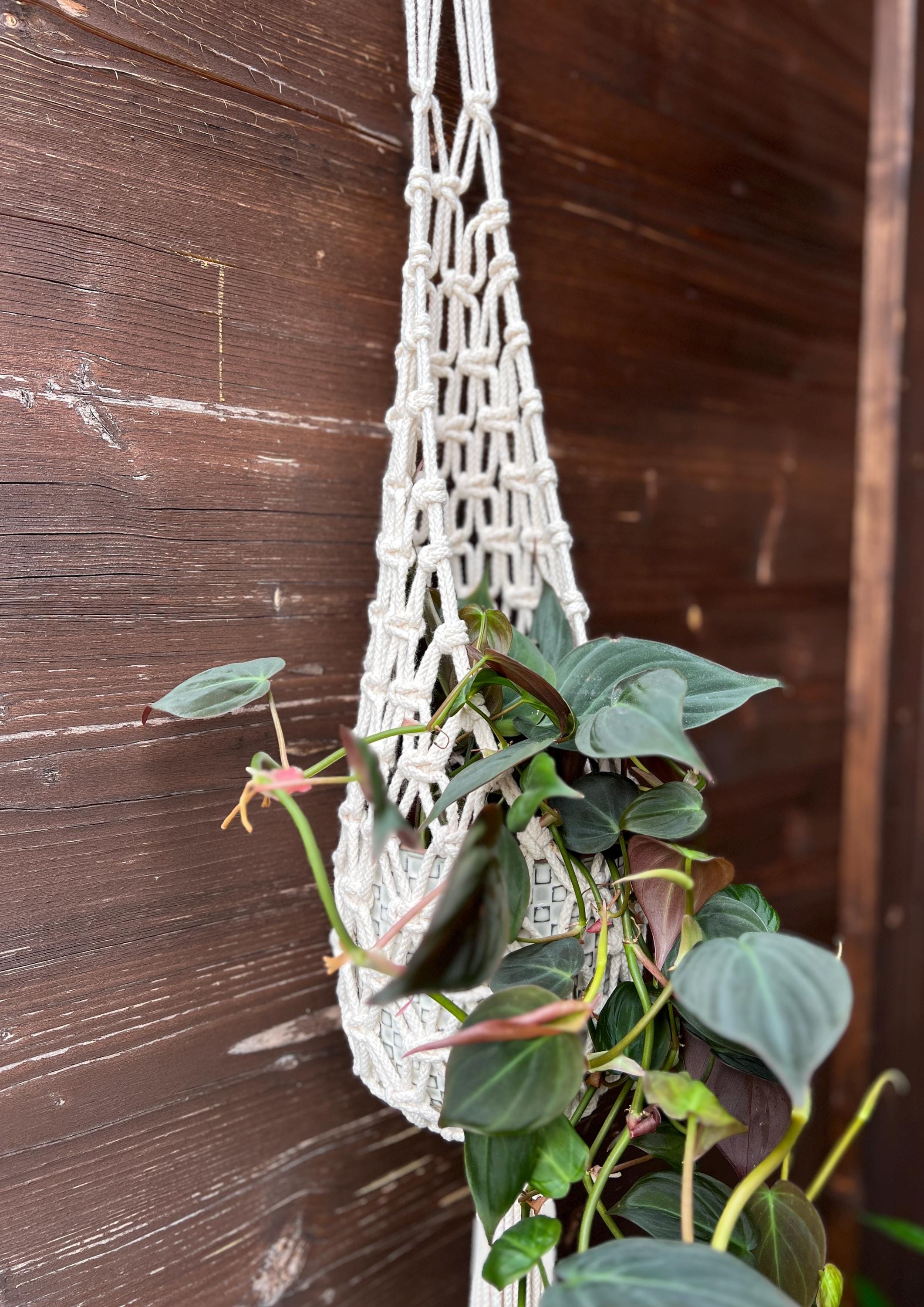 Macrame Pod Nest Macramé Plant Hanger Pattern PDF – Beginner-friendly DIY Tutorial ...