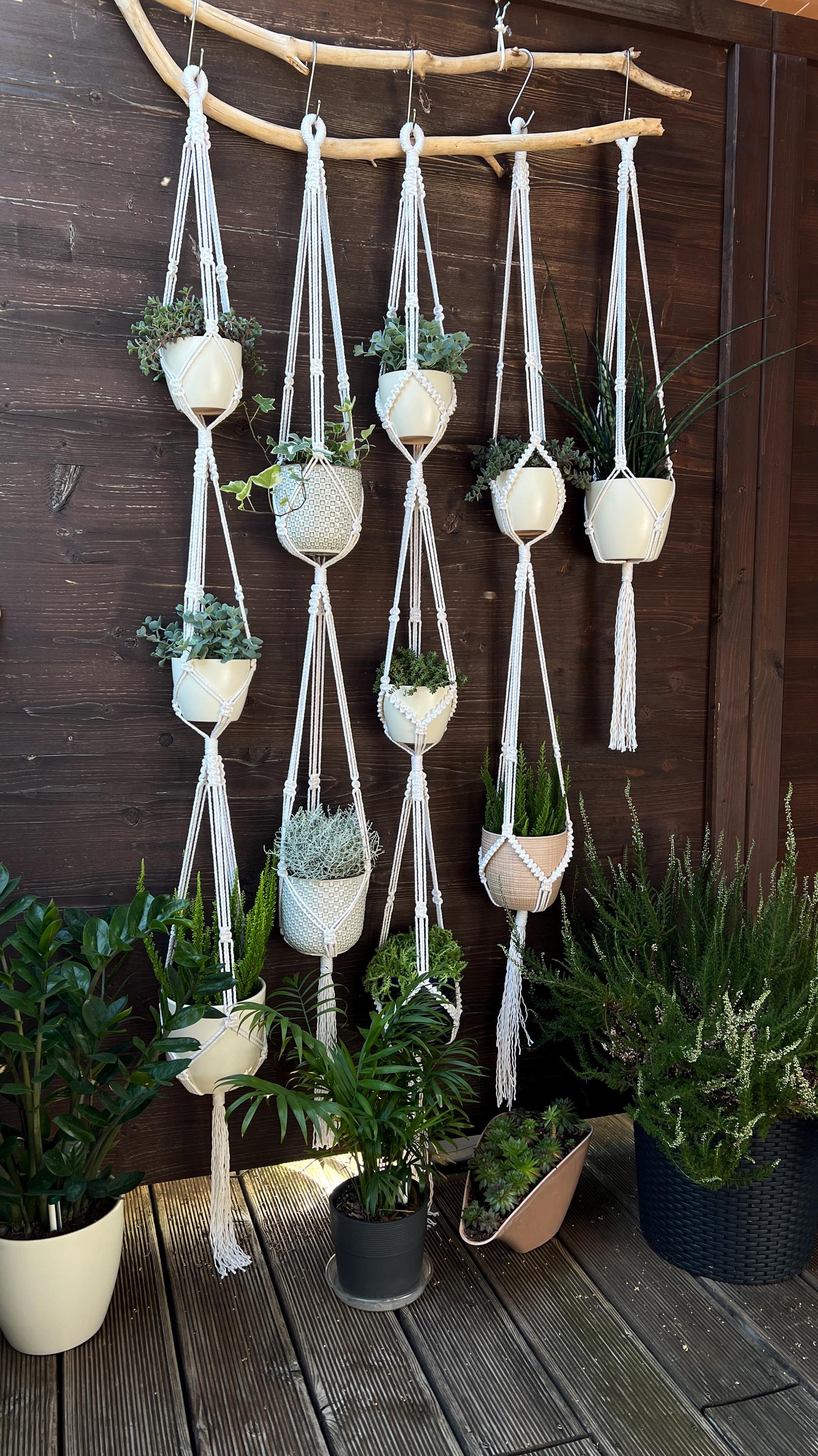 Guide for Complete Beginners - 5 Macrame Plant Hangers + Knot ...