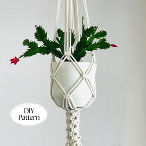 Macrame Plant Hanger Pattern, Plant Hanger pdf DIY, Tutorial Instructions, Macrame Fiber Arts Pattern, BEGINNER Macramé, Instant Download