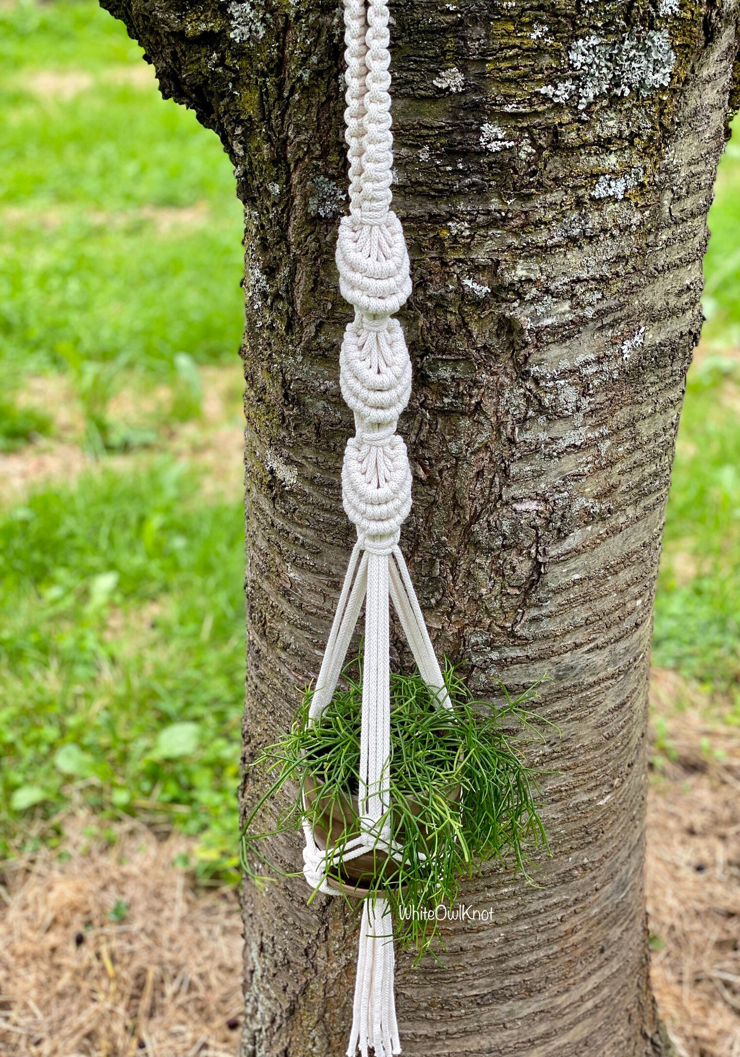 DIY Macrame Plant Hanger PDF Pattern, Shells Hanging Planter Tutorial ...