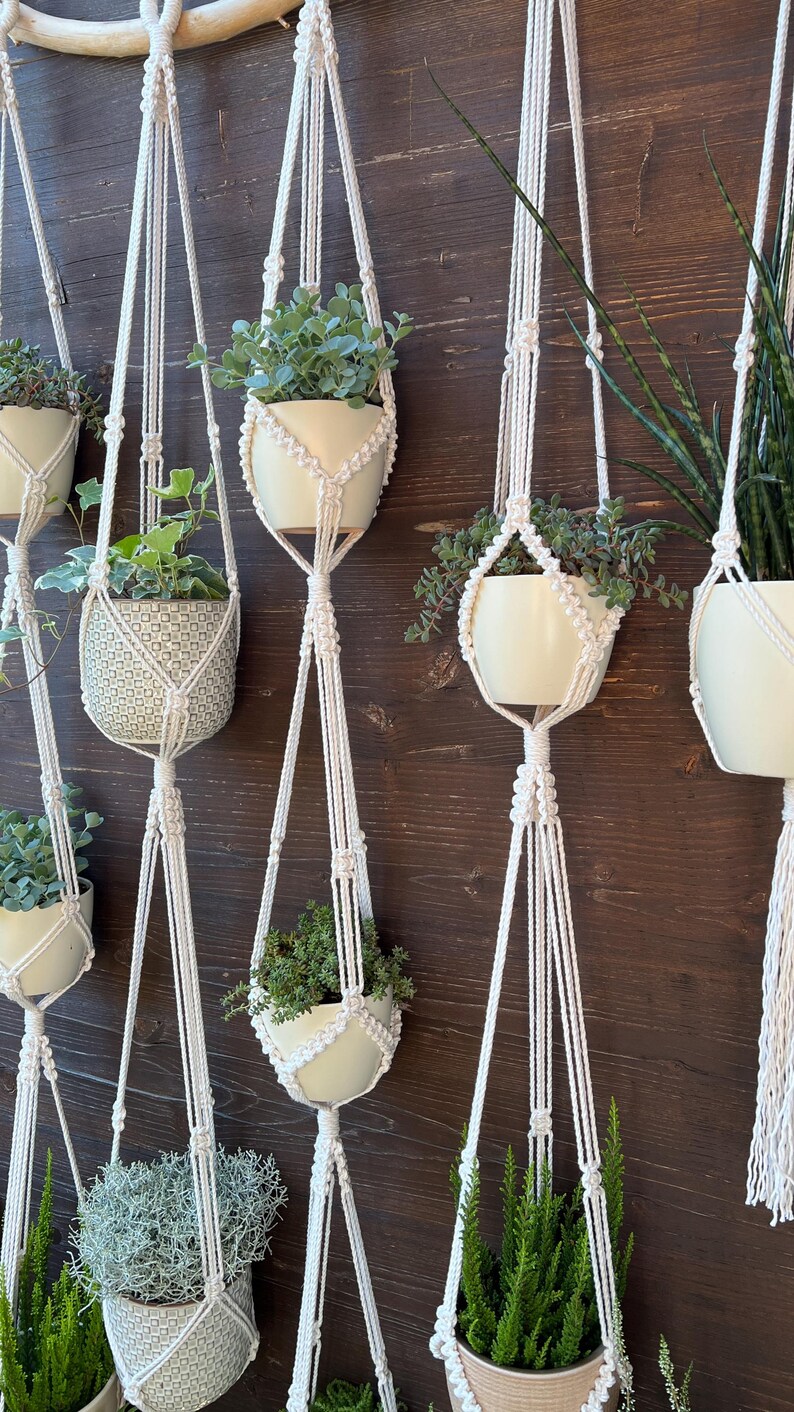Guide for Complete Beginners - 5 Macrame Plant Hangers + Knot ...