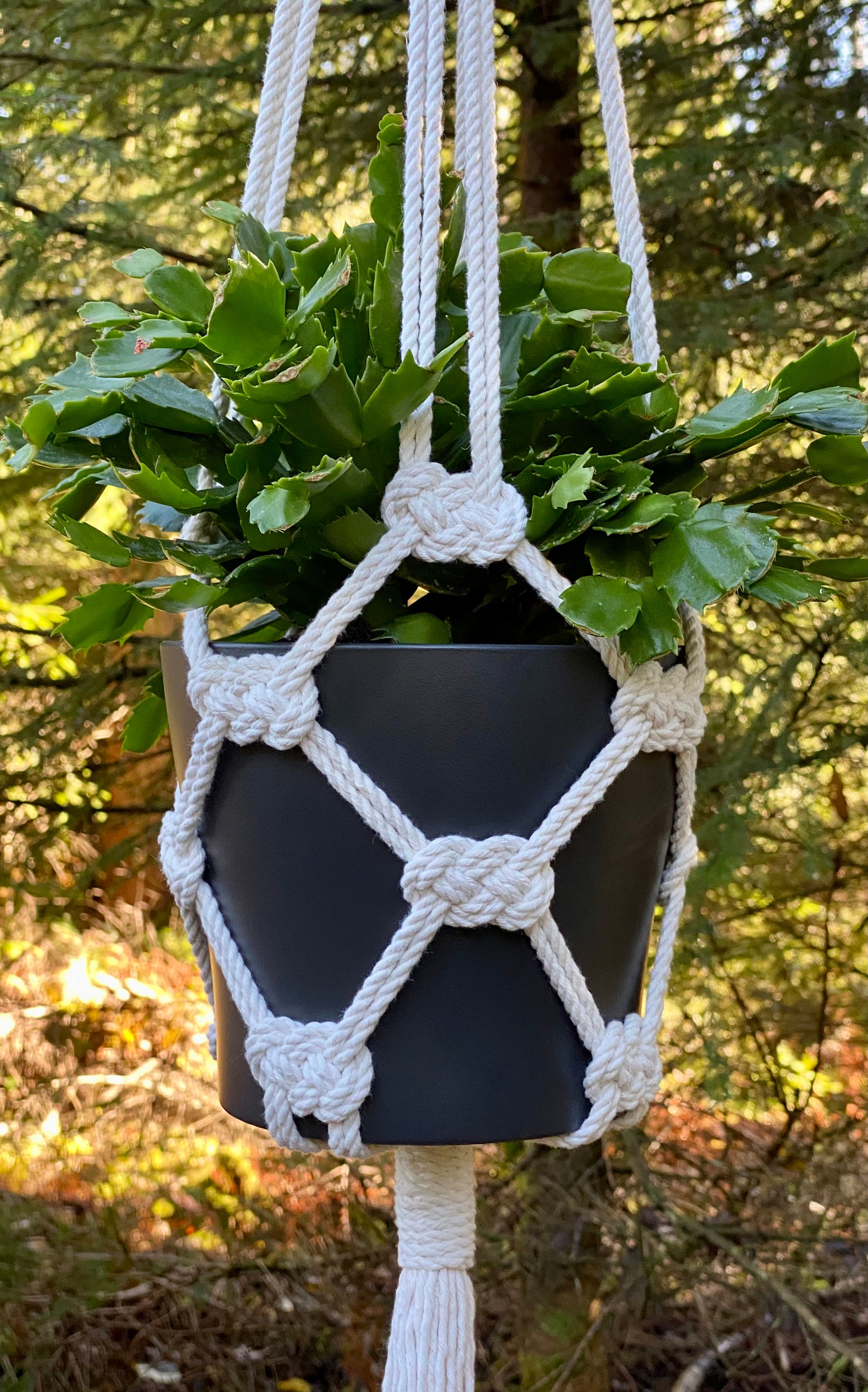 Macrame Plant Hanger, Chimes & More - Craft Book: #J100 To Knot or Not to  Knot