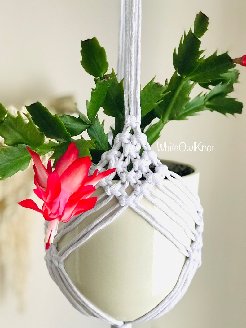 PDF Pattern Macrame Plant Hanger, Rhombus Plant Hanger DIY, Macramé Pattern Beginner, DIY Macrame, Step-by-Step, Instant Download image 4