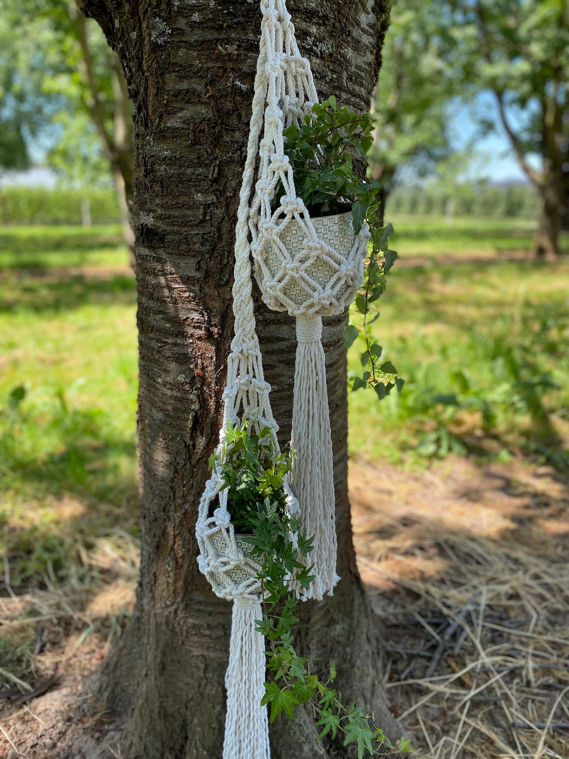Macrame Pod PDF Pattern Macrame Double Pod Planter,macrame Plant Hanger Tutorial ...
