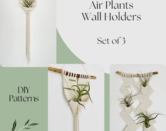 SET de 3 patrón PDF de planta de aire de Macrame, patrón colgante de pared de Macrame, instrucciones de bricolaje de decoración del hogar, terrario de planta de aire, idea de regalo para amantes de las plantas