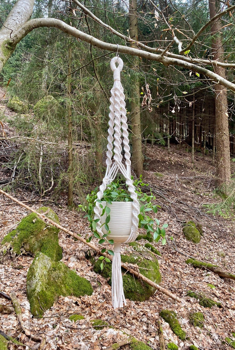 Modèle de suspension de plante en macramé bricolage PDF. Livre électronique pratique pour débutants Téléchargement instantané pour des instructions étape par étape. Créez de superbes cintres dès aujourd'hui image 5