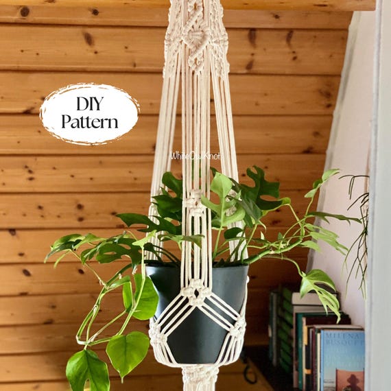 croton plant care indoor Croton Houseplant  Wayside Gardens