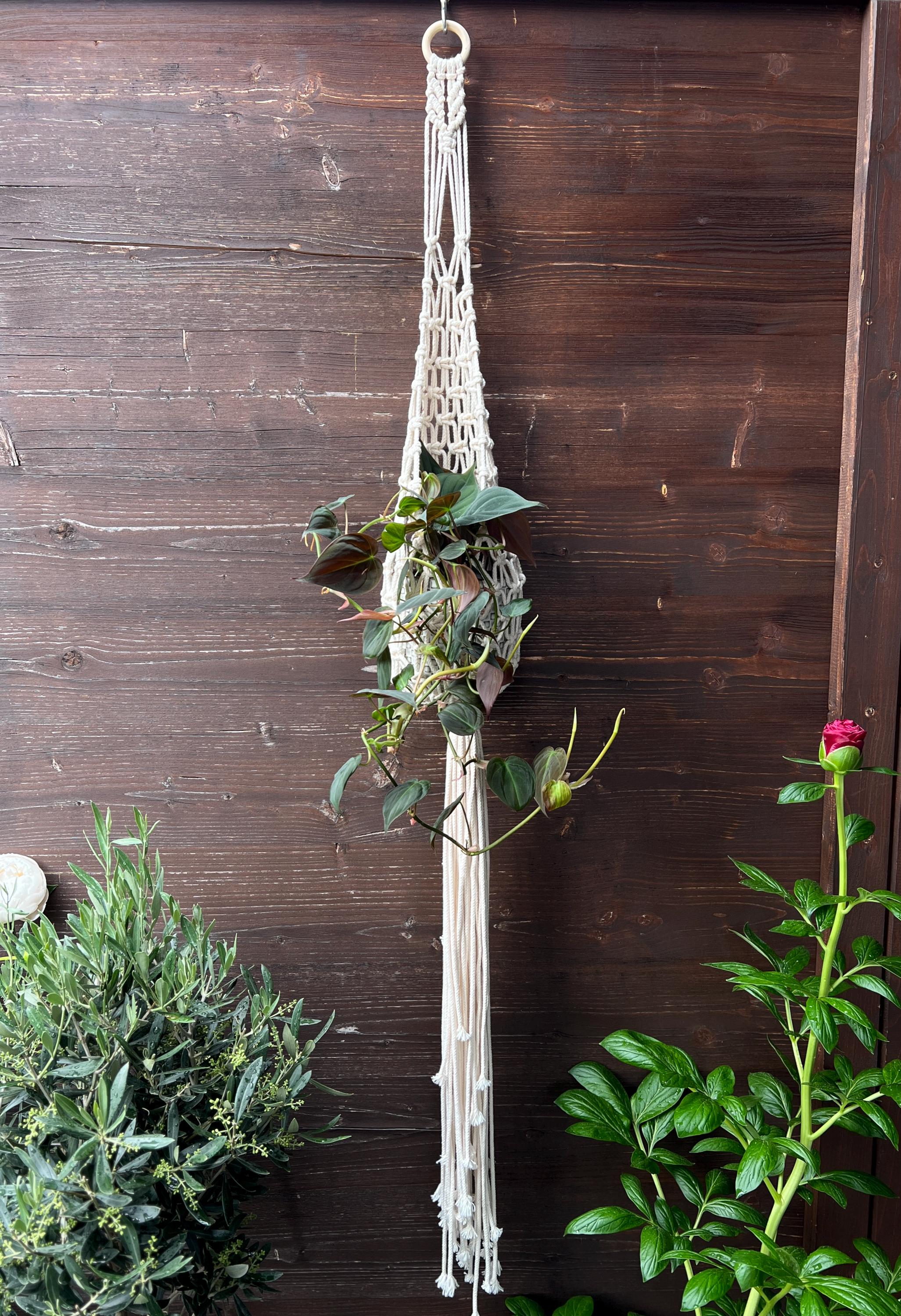 Macrame Pod Nest Macramé Plant Hanger Pattern PDF – Beginner-friendly DIY Tutorial ...