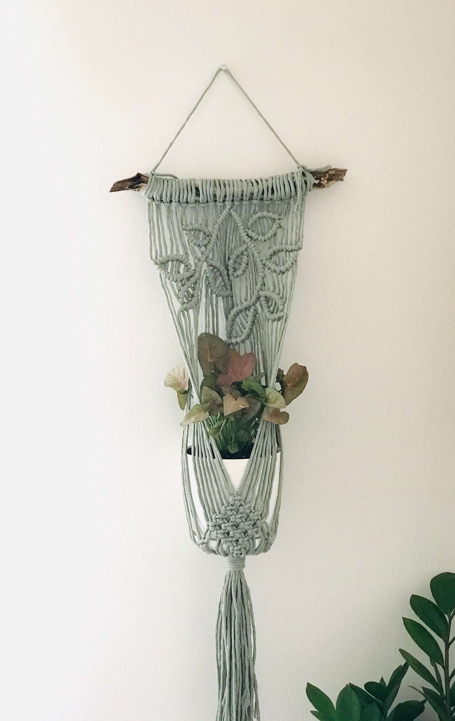 DIY Macrame Plant Hanger Wall Plant Hanger PDF Pattern Etsy Canada