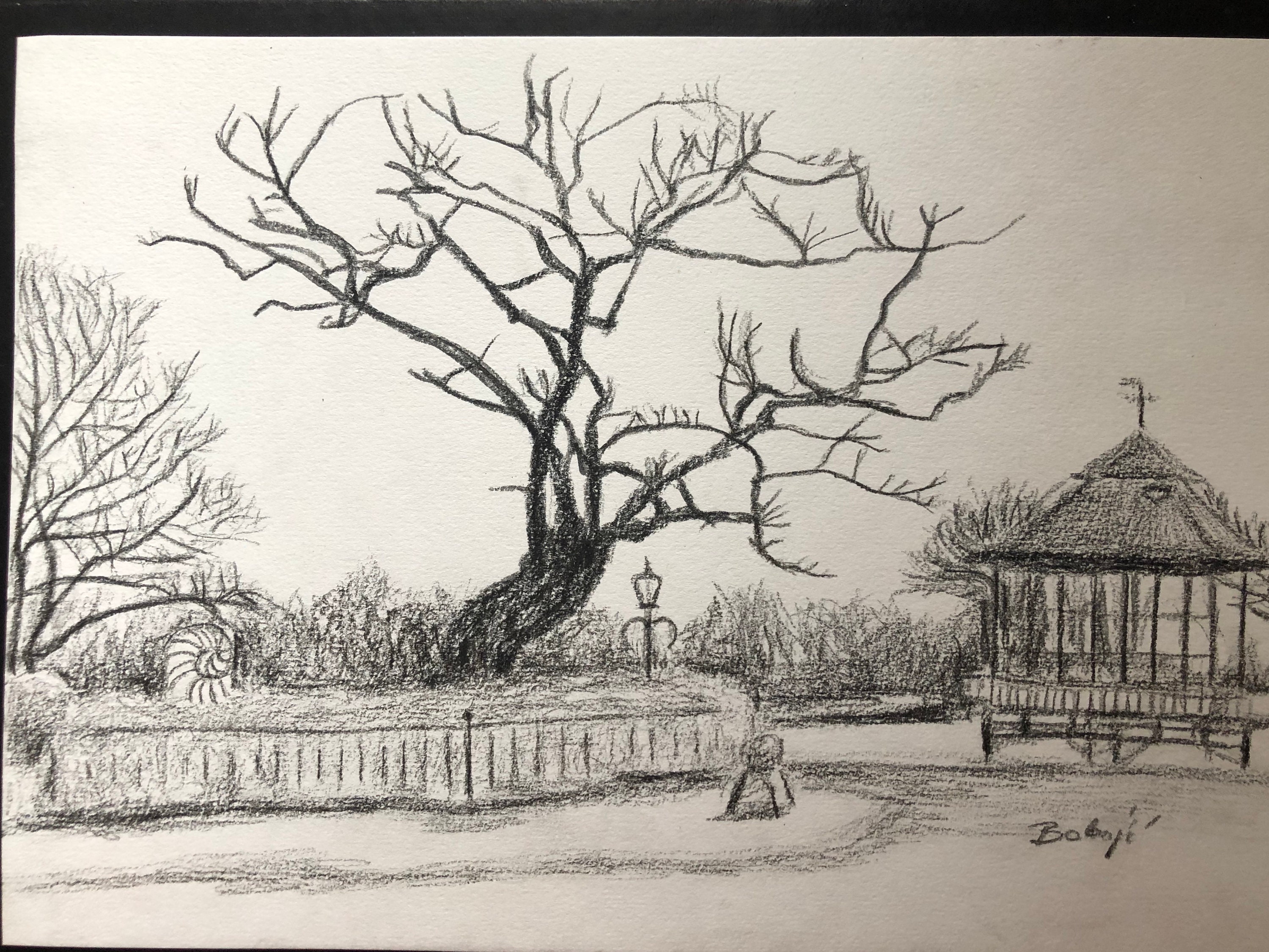 Landschaft Horniman Garten Zeichnung mit Bleistift Etsy