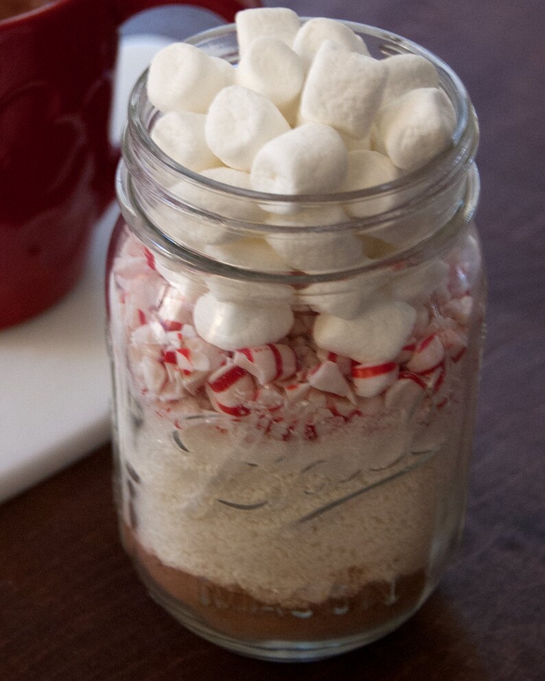 Mint Hot Chocolate Mix in Mason Jar Hot Cocoa Peppermint Etsy