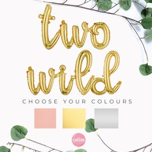 Two Wild Gold Script Letter Balloons / Cursive, Second Birthday Silver~Jungle 2nd Birthday Party, Where The Wild Ones Are, Baby Birthday