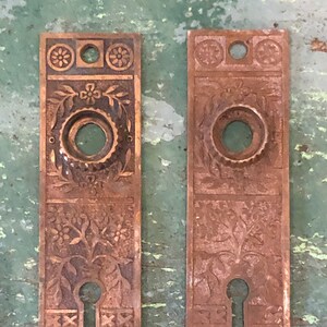 May include: Two antique brass door plates with intricate floral designs and keyholes. The plates have a worn, aged patina.