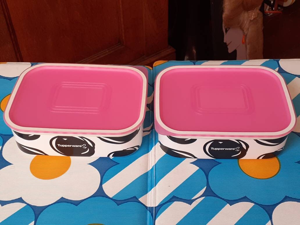 Tupperware Cow Baseline Canister Set Activity Etsy