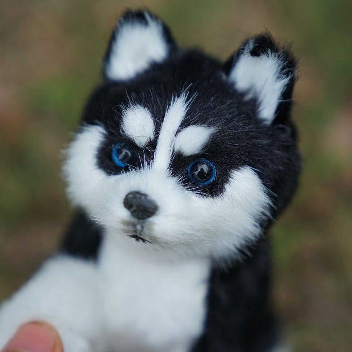 Best Dog Toys For Husky Puppies at ambermwallaceo blog