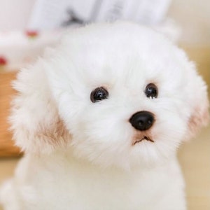 maltese stuffed animal