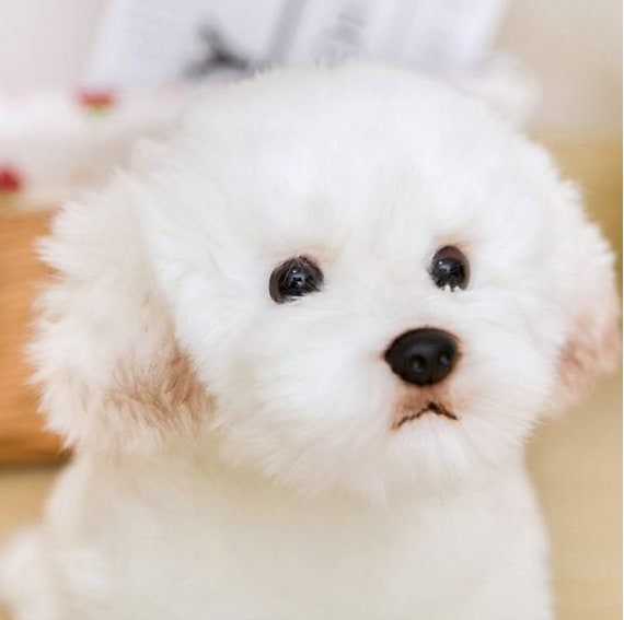 stuffed maltese dog