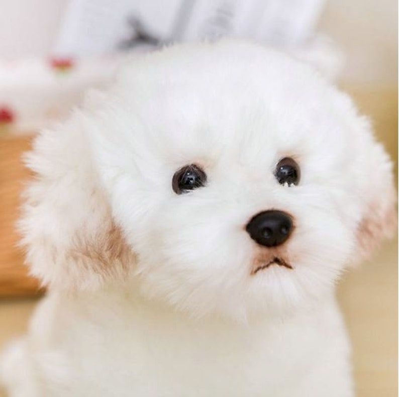 Simulation Maltese Dog Plush Toy Stuffed Animal Super High Etsy
