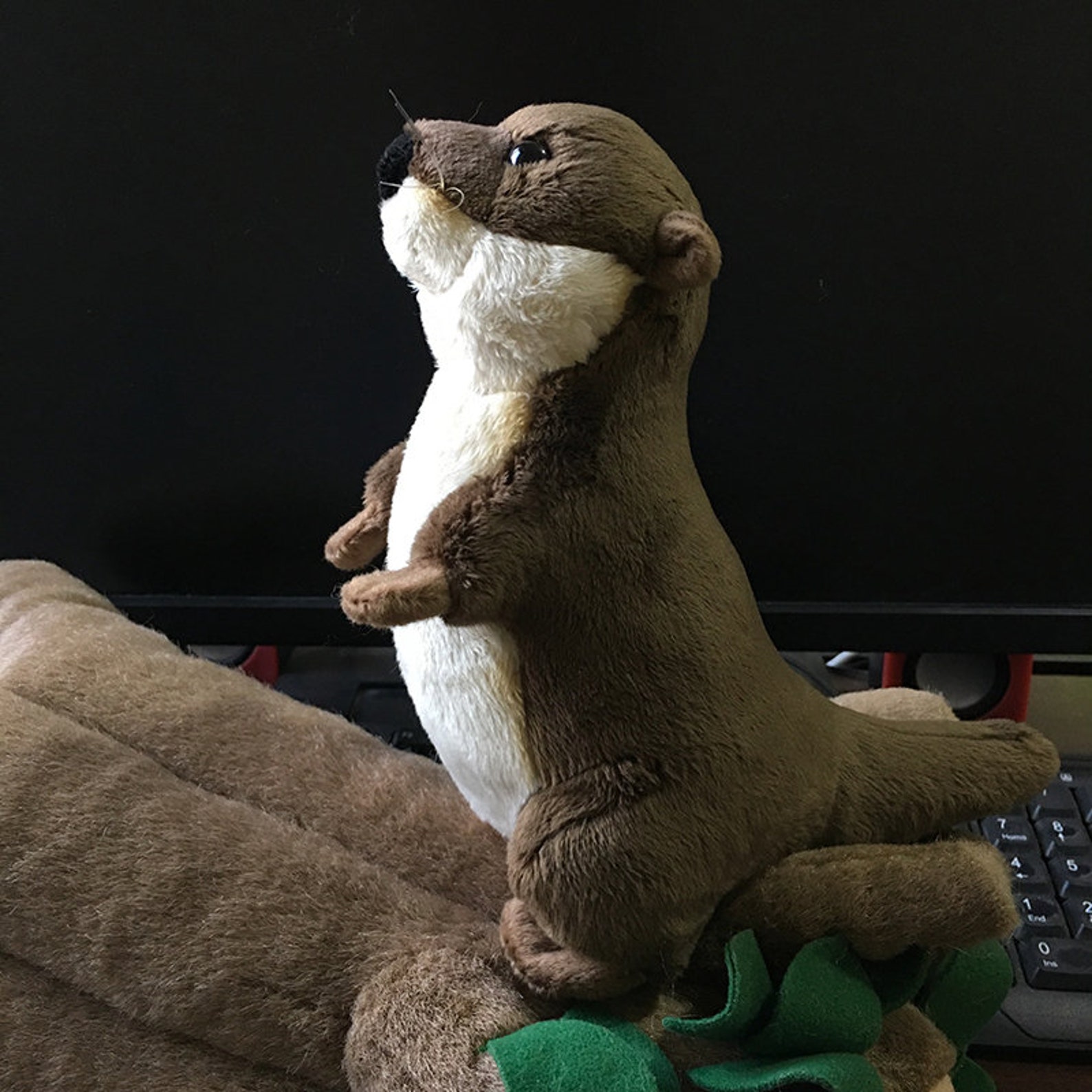 Eurasian River Otter Plush Toy Lifelike Wild Animals Etsy