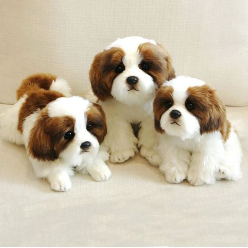 Simulation Papillon Dog Plush Toy Stuffed Animal Super High | Etsy