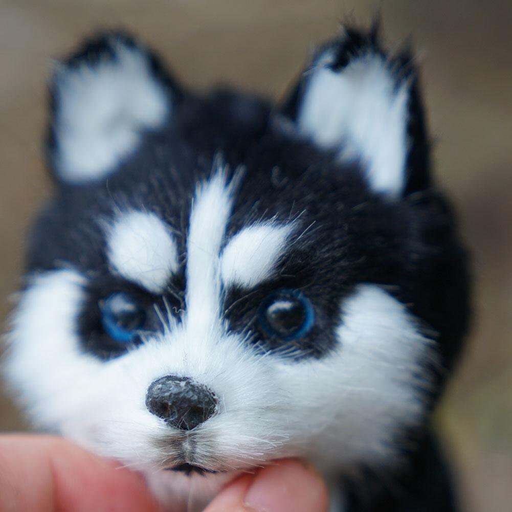 plush husky dog