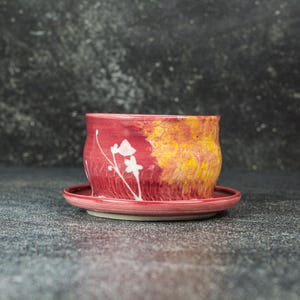 Small Ceramic Planter with Drainage: Contemporary Art Decor