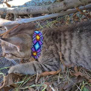 Puede incluir: Un gato atigrado con un collar de cuentas de colores con cuentas moradas, azules, amarillas y rojas. El gato est&aacute; tumbado en el suelo con hojas y ramas a su alrededor.