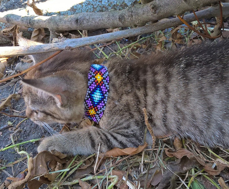 Puede incluir: Un gato atigrado con un collar de cuentas de colores con cuentas moradas, azules, amarillas y rojas. El gato est&aacute; tumbado en el suelo con hojas y ramas a su alrededor.