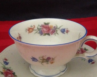 Scherzer Bavaria RARE Romantic Pink Tea Cup Saucer Set 6 Floral Bridesmaid  Gift
