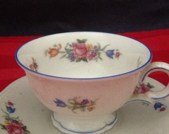 Zeh Scherzer Bavaria Germany Porcelain Tea Cup Saucer Blue Trim and Pink Roses