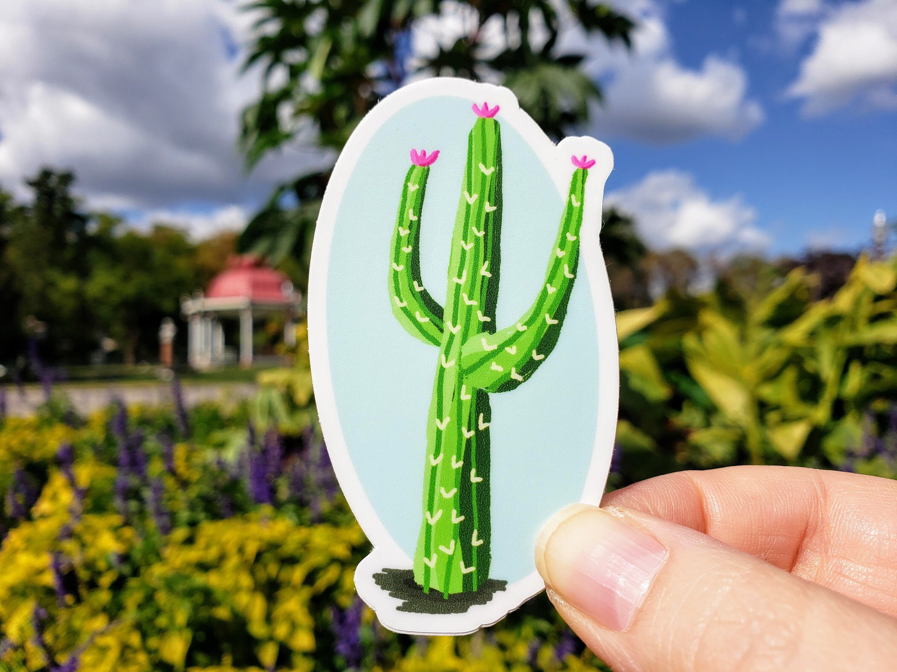 Bright Cactus Sticker Stylized Saguaro Cactus Vinyl Decal Etsy