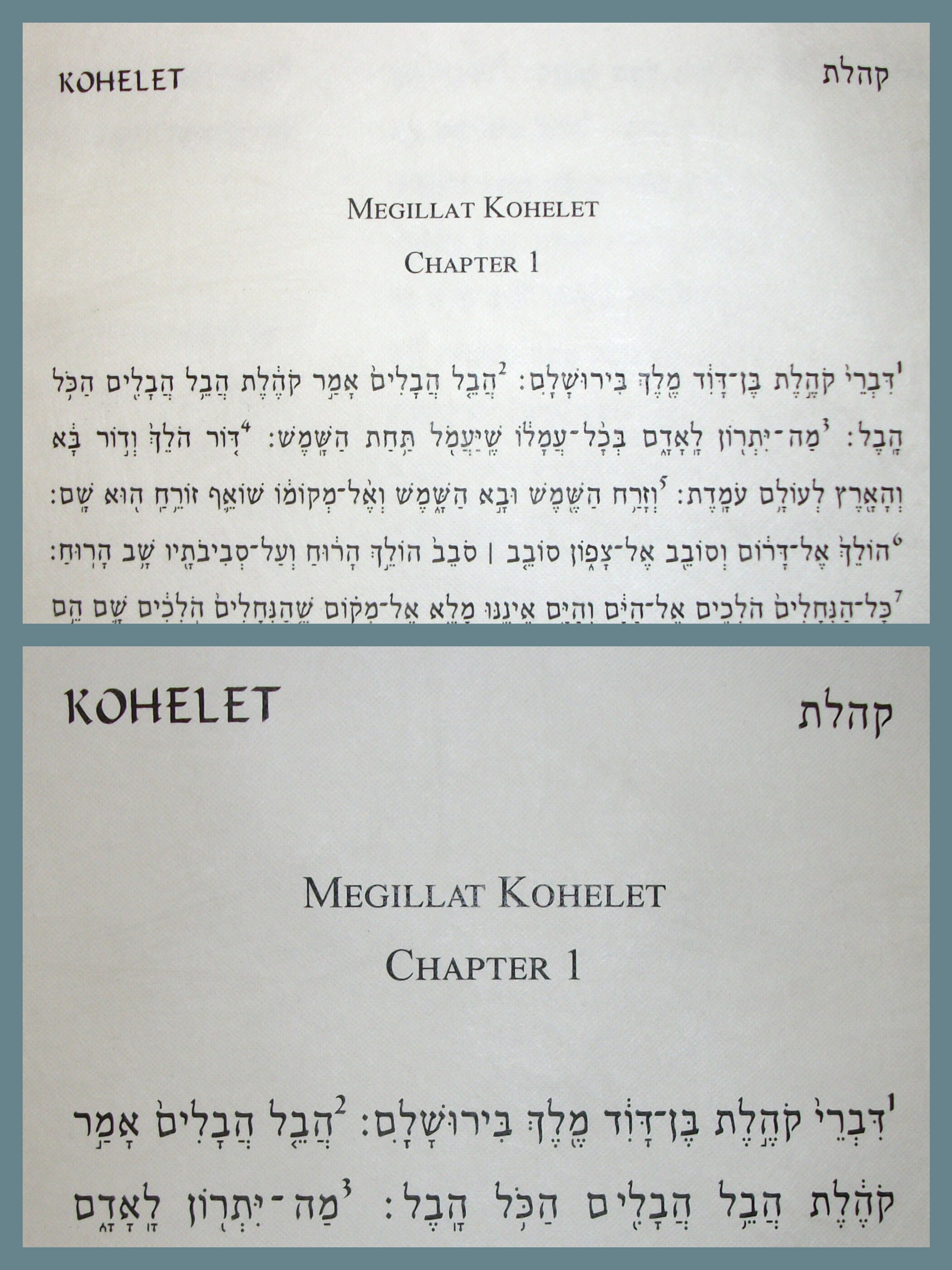Kohelet Megillah Scroll - Personalized Gift for Teacher or Mentor - Wooden Spindle Case &amp; Lucite ...