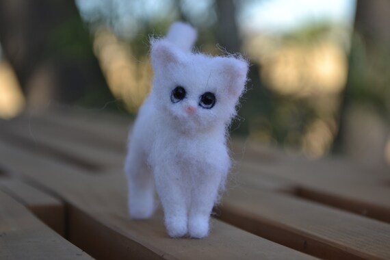 white kitten