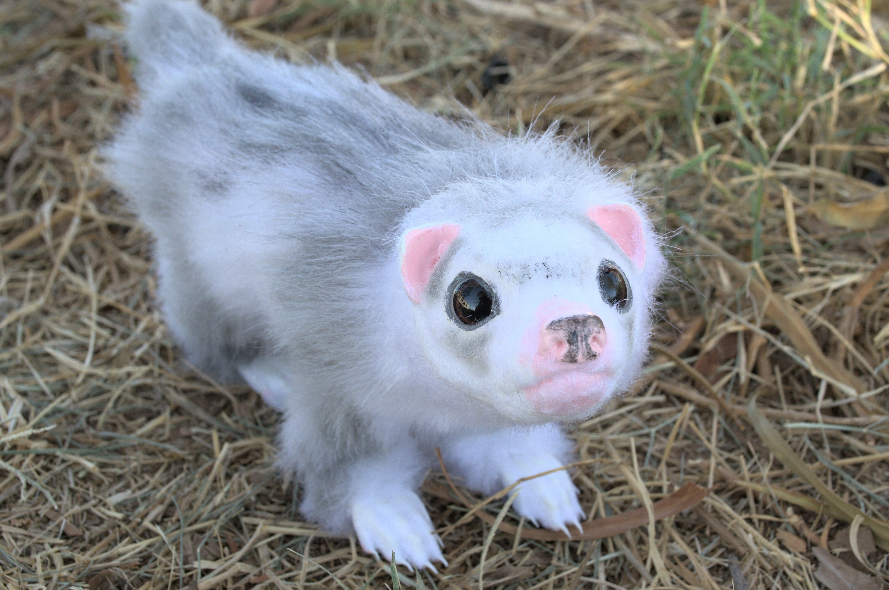 ferret art doll