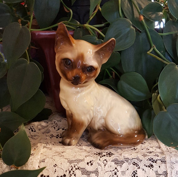 Chat Himalayen Siamois De L Uogc Etsy