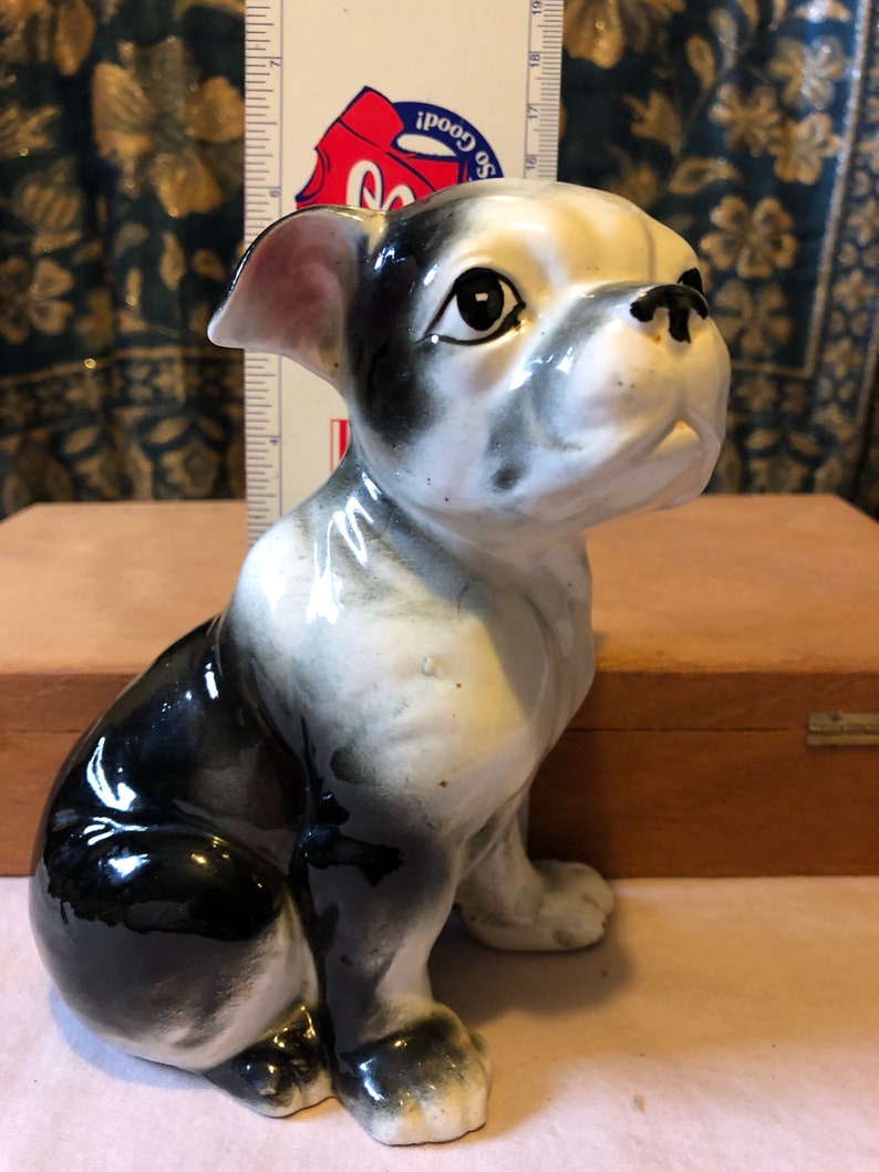 adorable seated boston terrier puppy collectible figurine