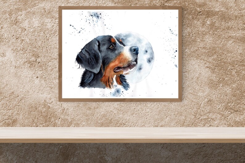 Fine Art Print bernese Mountain Dog, Mother of Pearl Shimmer Etsy
