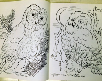 1978 Coloring Book - Alaskan Birds by Artist Mary Frances DeHart ~ UNUSED