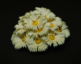 Vintage White Daisy Brooch: Beaded Plastic Flower Bouquet MCM